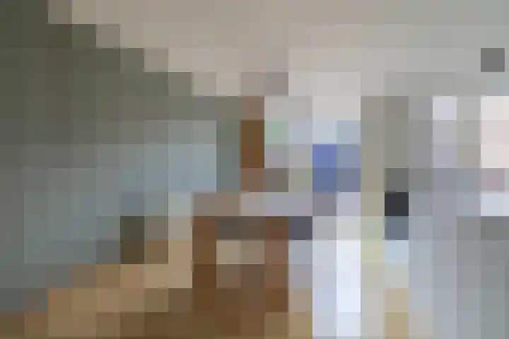 De Esdoorn 16 Zevenhuizen thumbnail 9