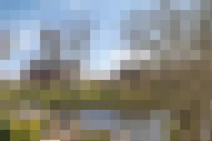 De Esdoorn 22 Rhoon thumbnail 12