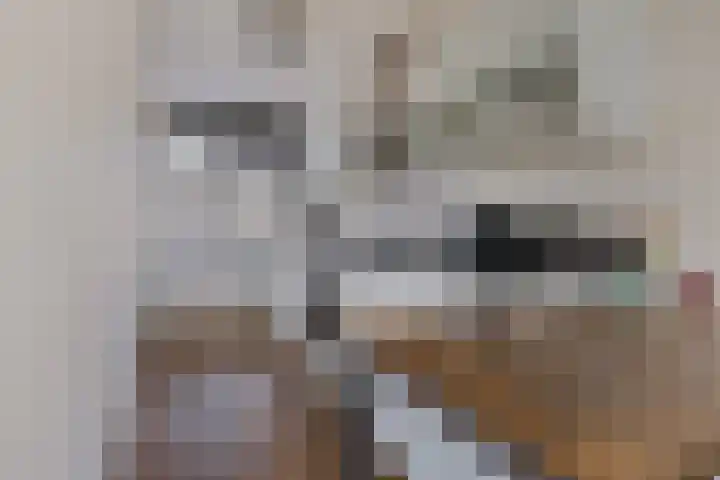 De Esdoorn 22 Rhoon thumbnail 20
