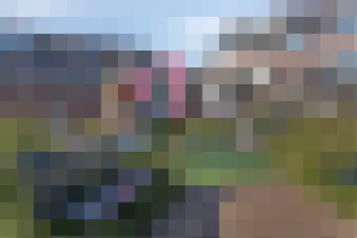 De Esdoorn 22 Rhoon thumbnail 34