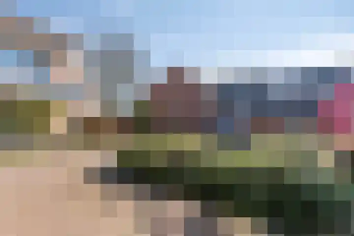 De Esdoorn 22 Rhoon thumbnail 5