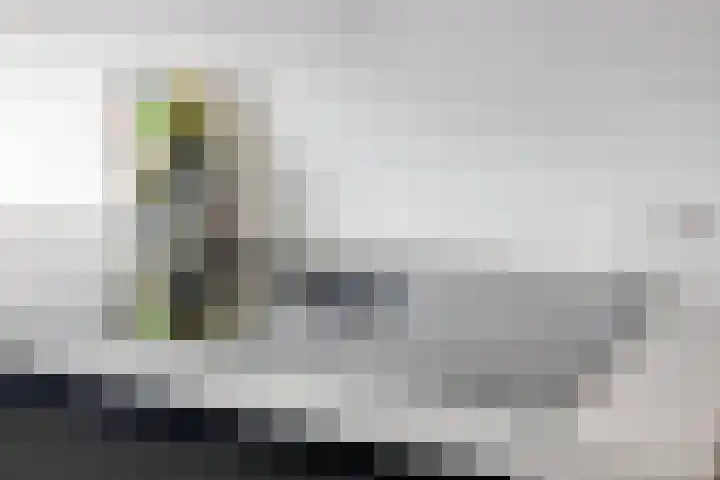 De Esdoorn 23 Wanroij thumbnail 10