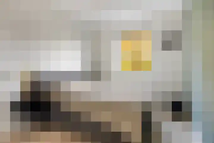 De Esdoorn 23 Wanroij thumbnail 13