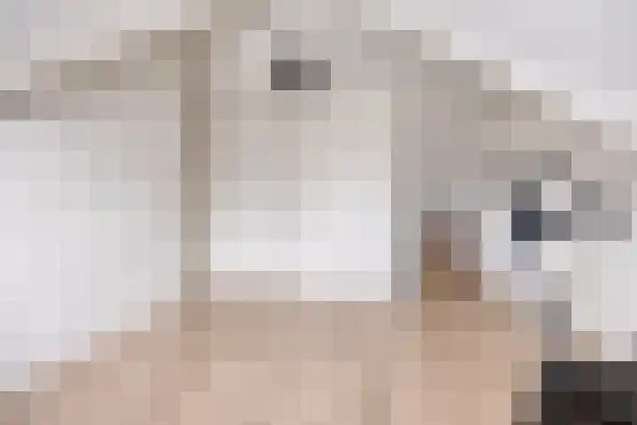 De Esdoorn 23 Wanroij thumbnail 22