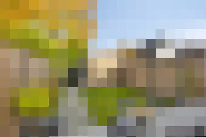 De Esdoorn 23 Wanroij thumbnail 24