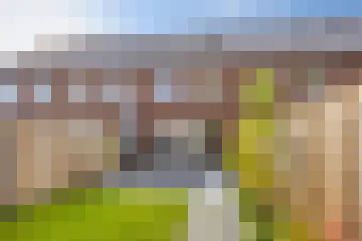 De Esdoorn 23 Wanroij thumbnail 25