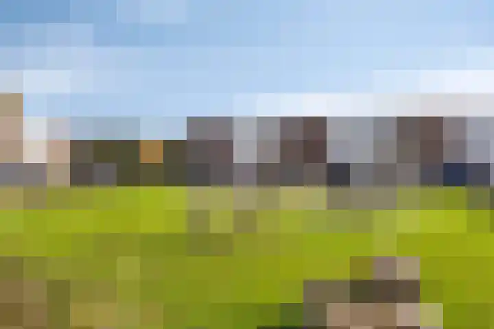De Esdoorn 23 Wanroij thumbnail 31