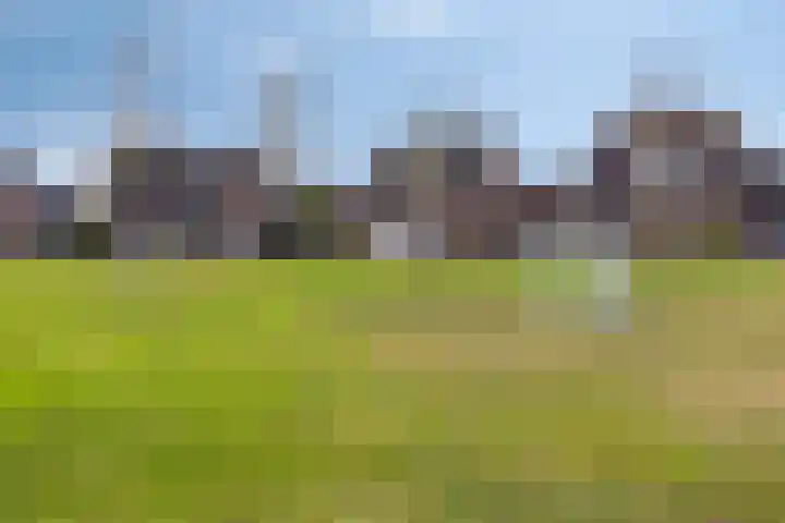 De Esdoorn 23 Wanroij thumbnail 32