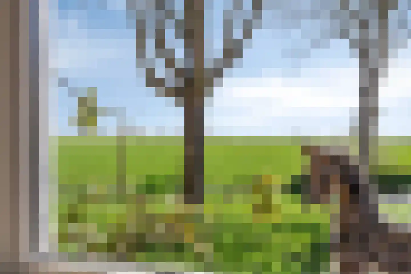 De Esdoorn 26 Bedum thumbnail 13