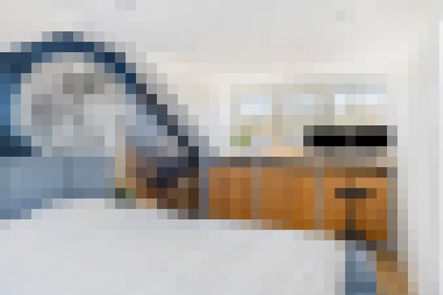 De Esdoorn 26 Bedum thumbnail 31