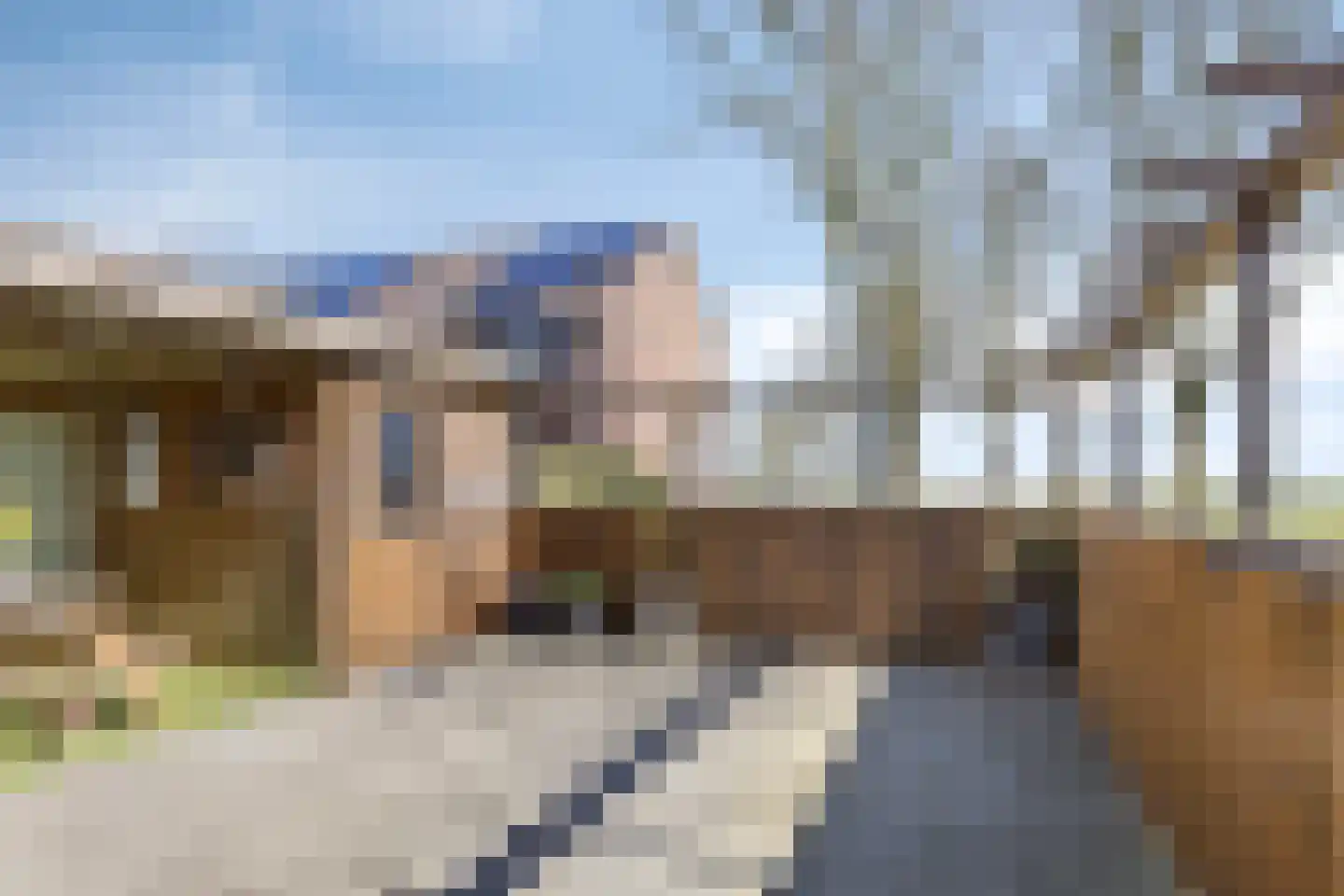 De Esdoorn 26 Bedum thumbnail 32