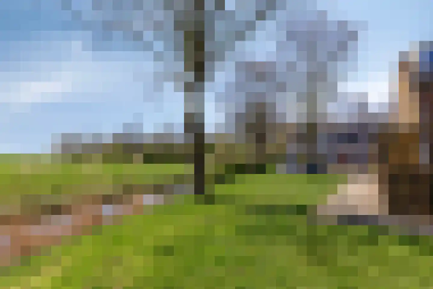 De Esdoorn 26 Bedum thumbnail 36