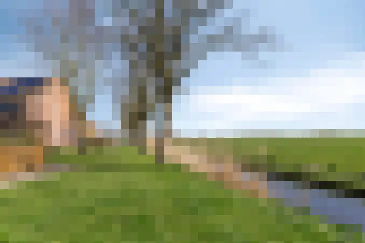 De Esdoorn 26 Bedum thumbnail 37