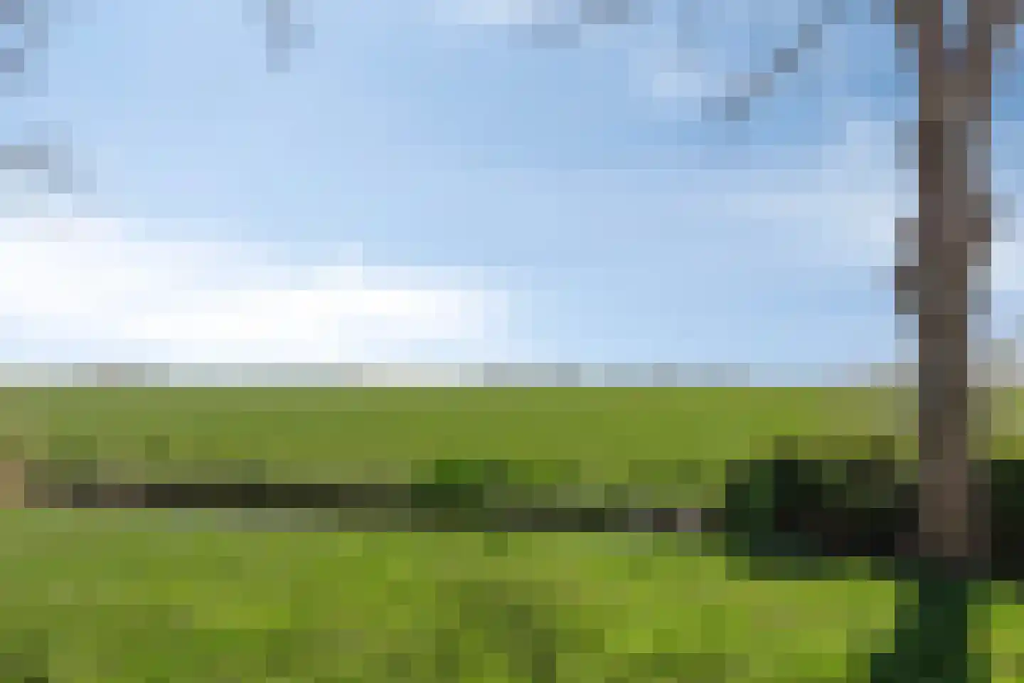 De Esdoorn 26 Bedum thumbnail 38