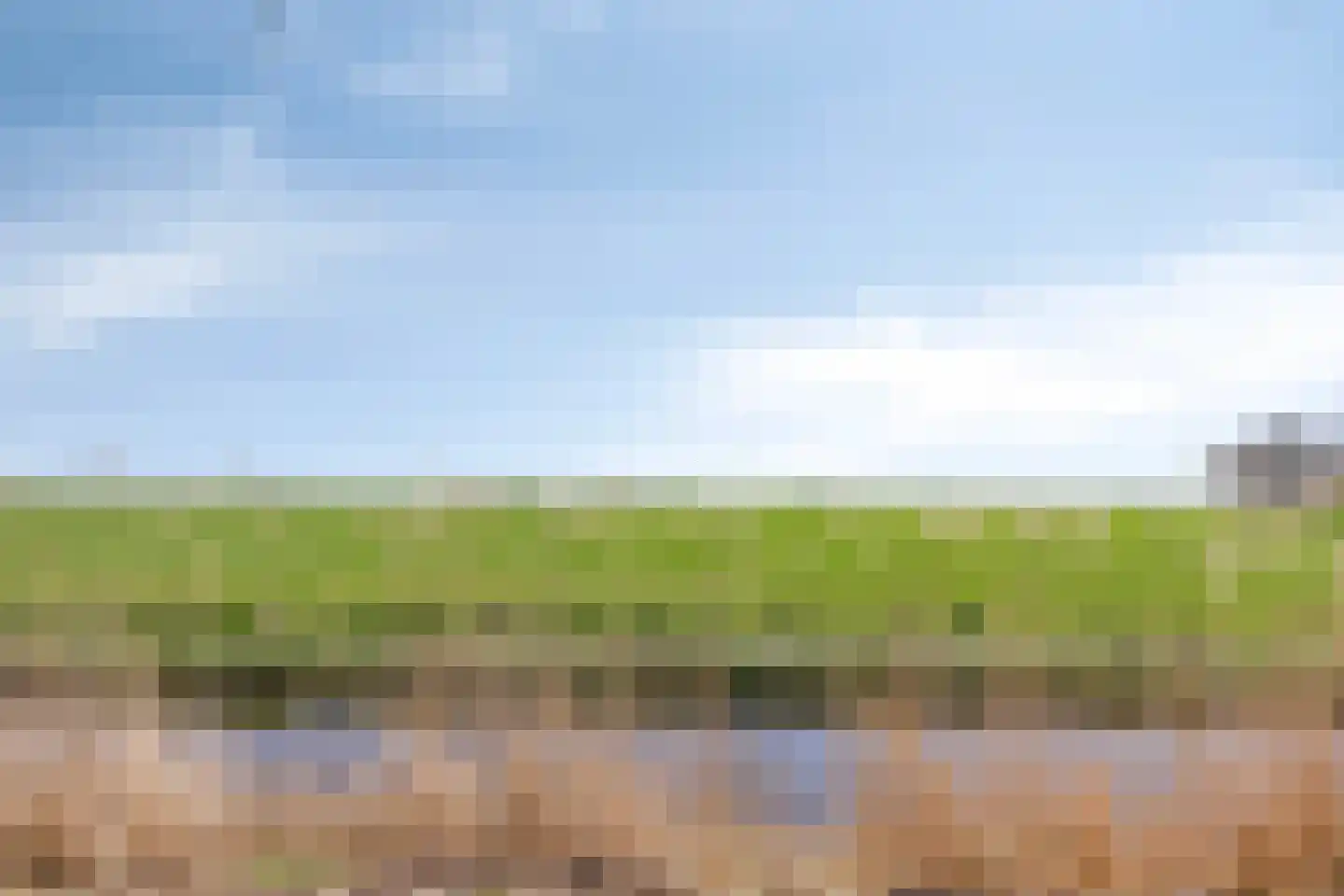 De Esdoorn 26 Bedum thumbnail 39