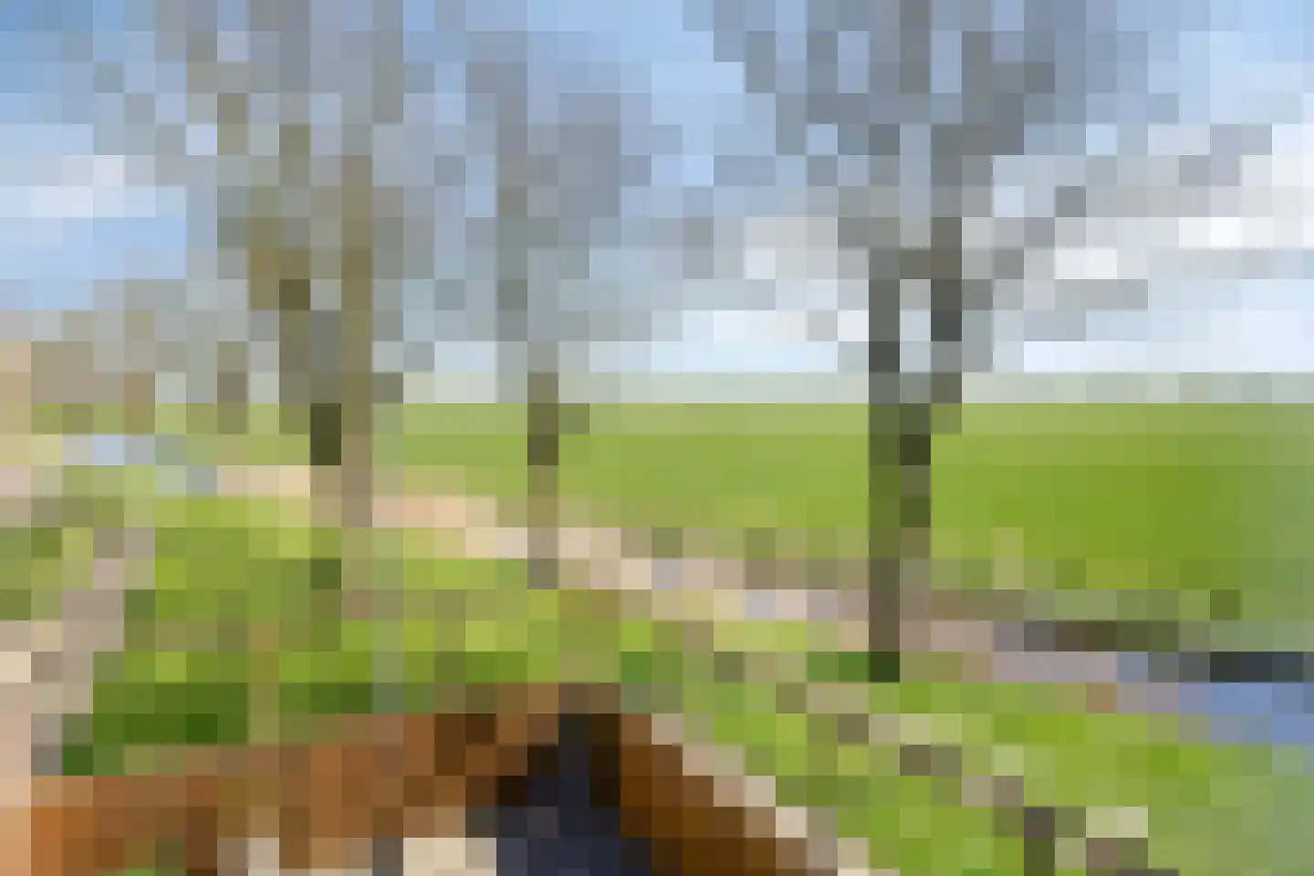 De Esdoorn 26 Bedum thumbnail 4