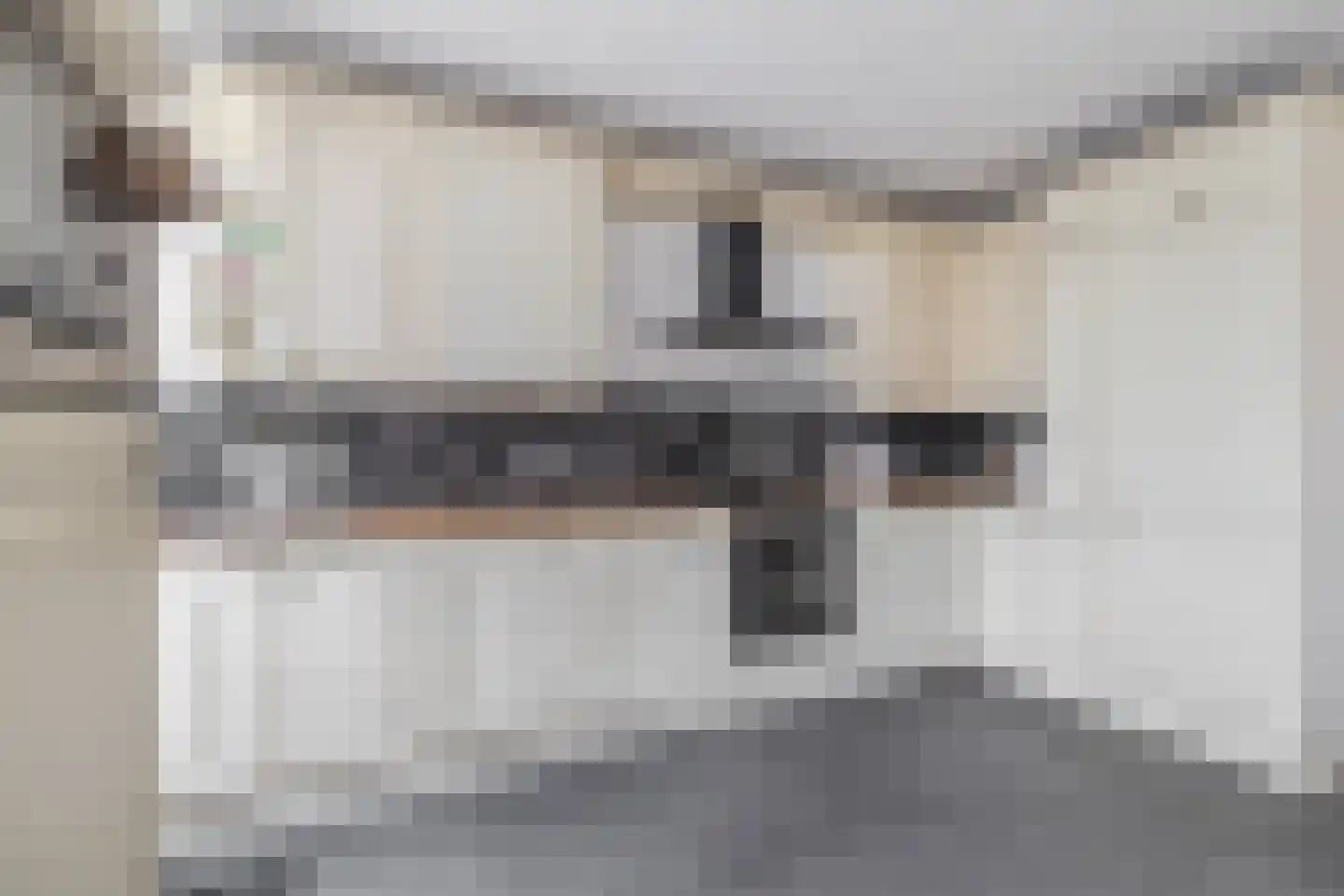 De Esdoorn 28 Zevenhuizen thumbnail 10
