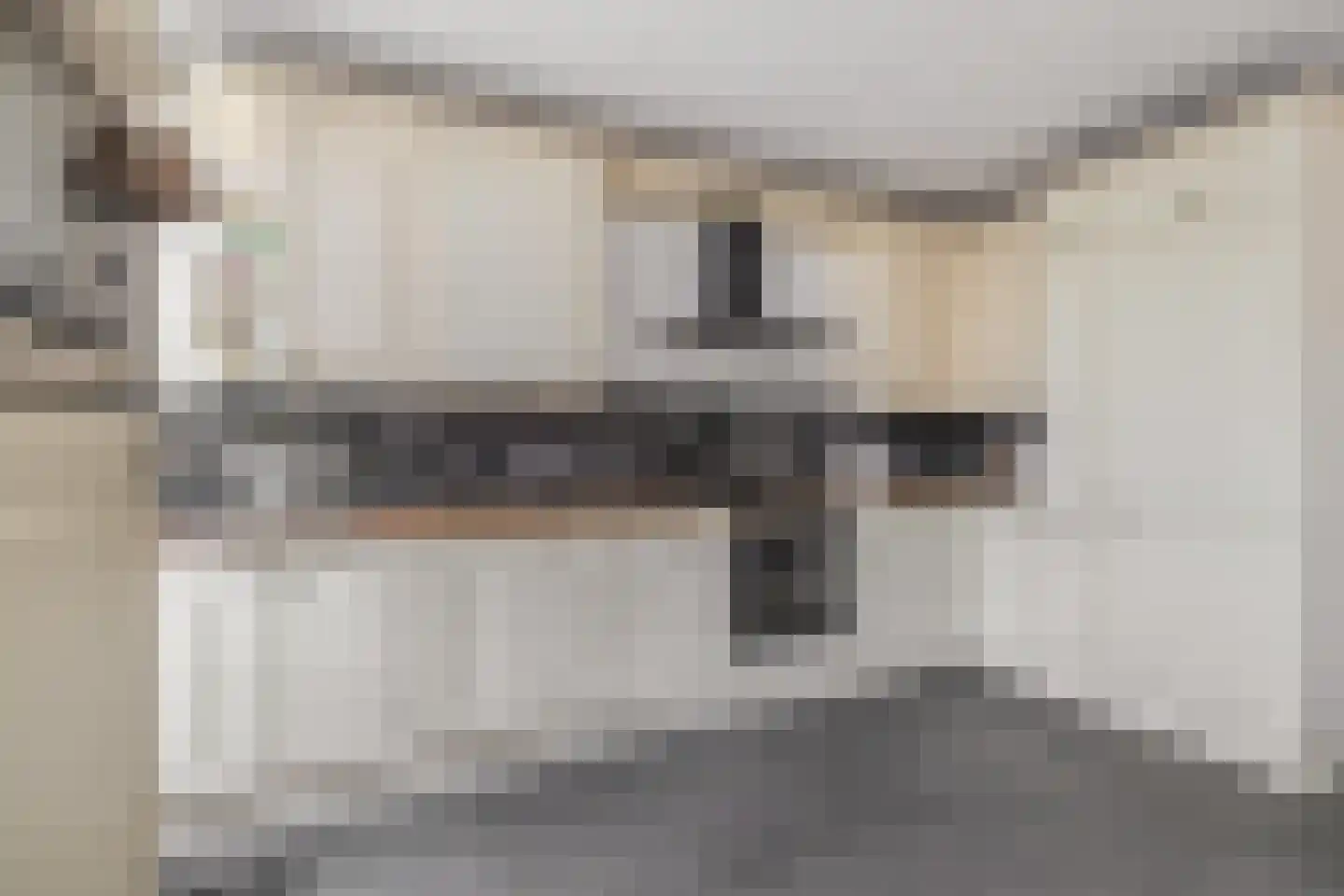 De Esdoorn 28 Zevenhuizen thumbnail 10