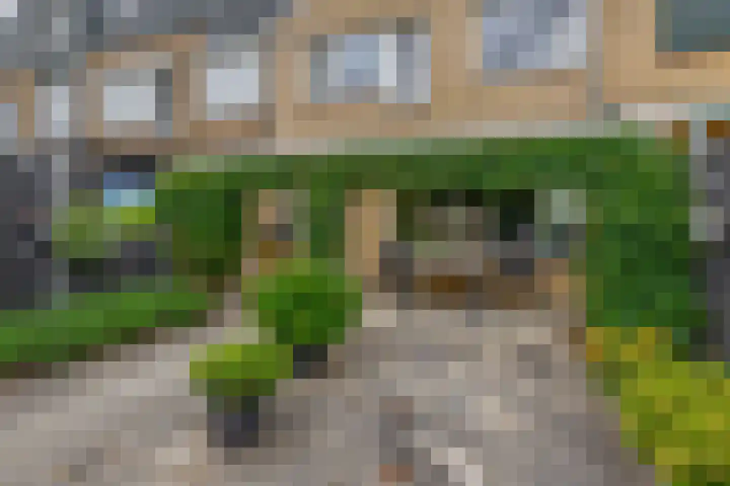De Esdoorn 28 Zevenhuizen thumbnail 22