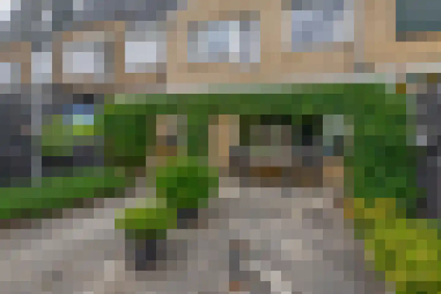 De Esdoorn 28 Zevenhuizen thumbnail 22