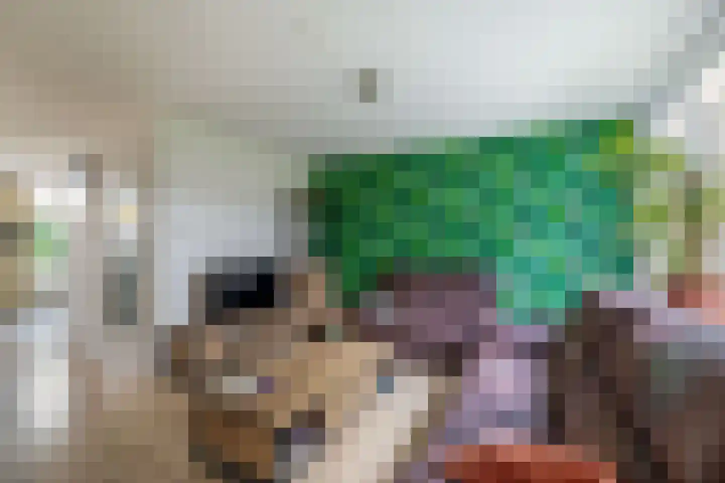 De Esdoorn 28 Zevenhuizen thumbnail 6