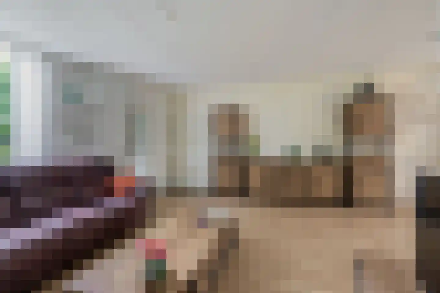 De Esdoorn 28 Zevenhuizen thumbnail 7