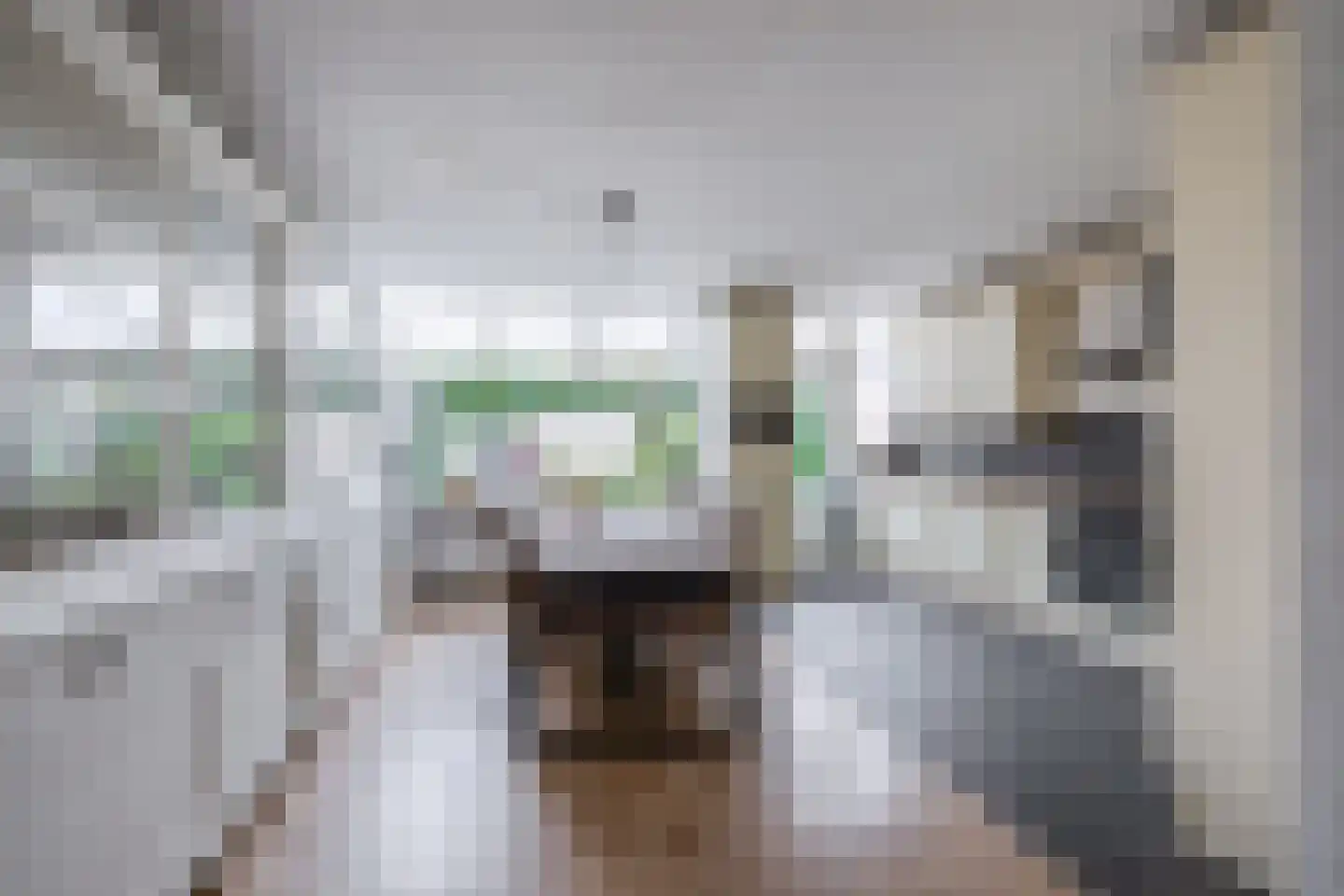 De Esdoorn 28 Zevenhuizen thumbnail 9