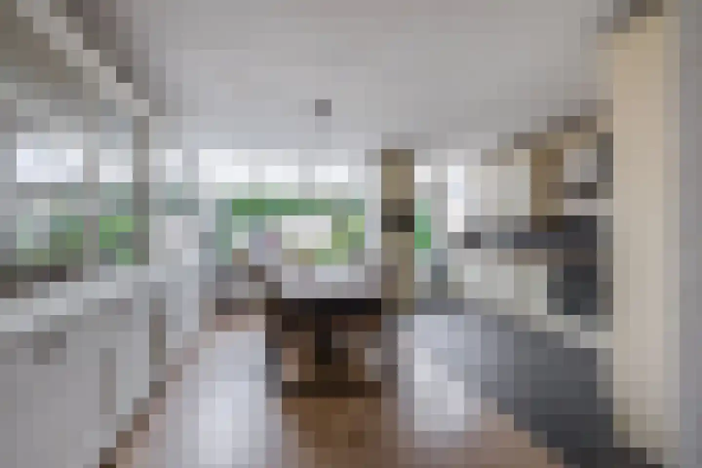 De Esdoorn 28 Zevenhuizen thumbnail 9