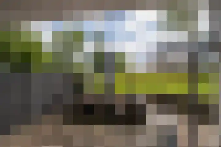De Esdoorn 31 Rhoon thumbnail 11