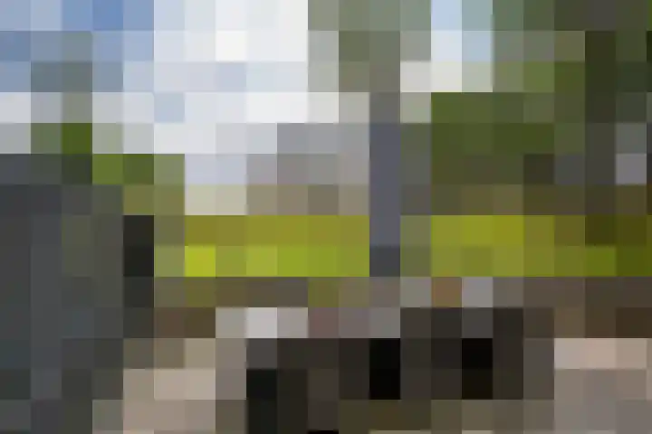 De Esdoorn 31 Rhoon thumbnail 12