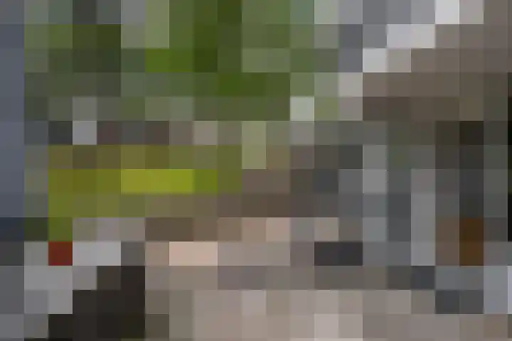 De Esdoorn 31 Rhoon thumbnail 13