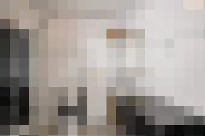 De Esdoorn 31 Rhoon thumbnail 28