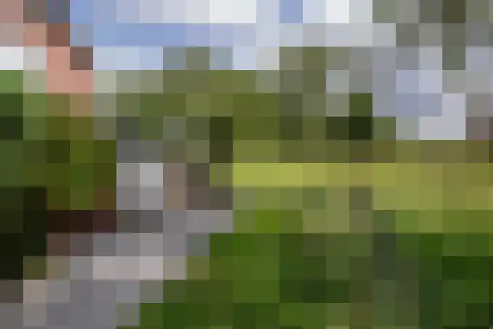 De Esdoorn 31 Rhoon thumbnail 32