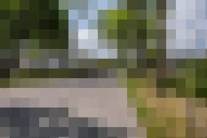 De Esdoorn 31 Rhoon thumbnail 34