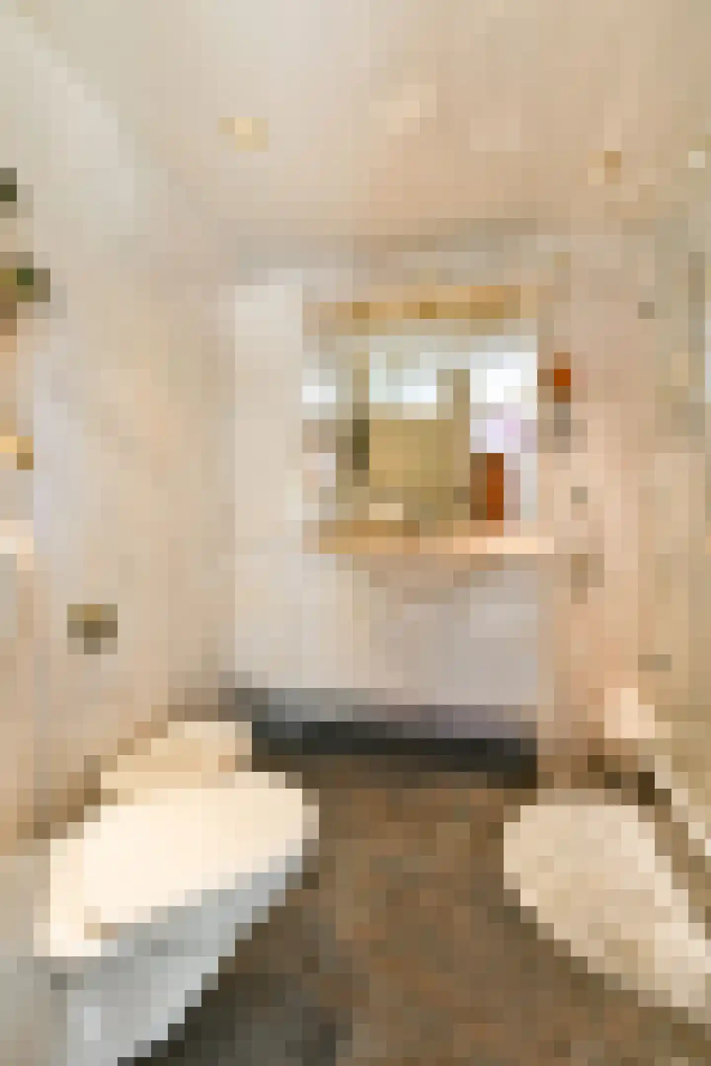 De Esdoorn 33 Rhoon thumbnail 10