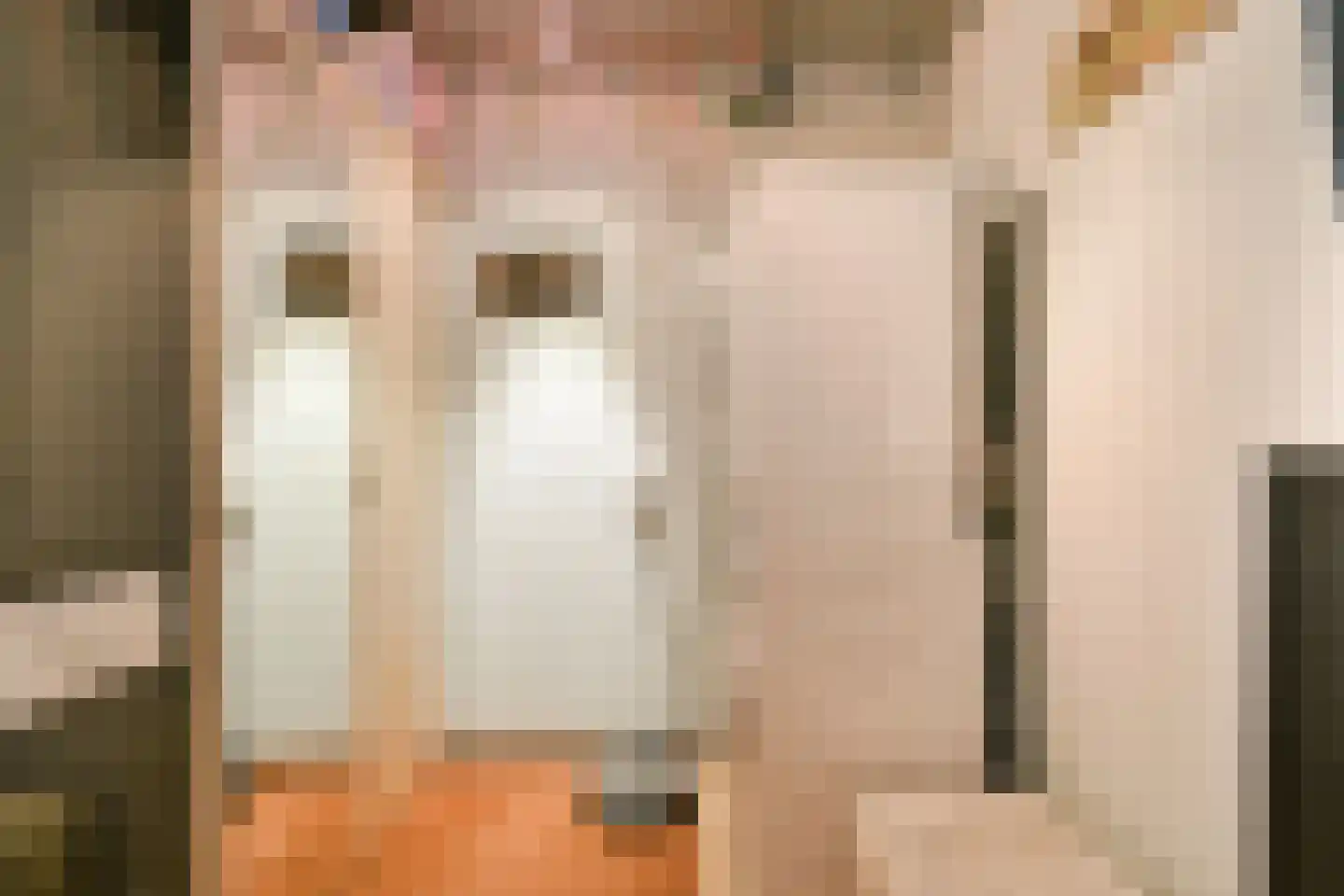 De Esdoorn 33 Rhoon thumbnail 12