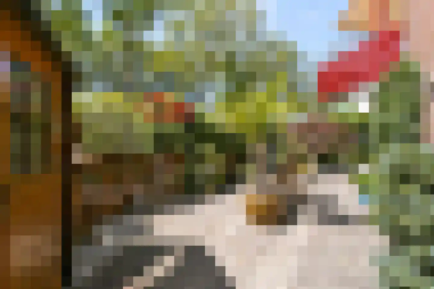 De Esdoorn 33 Rhoon thumbnail 14