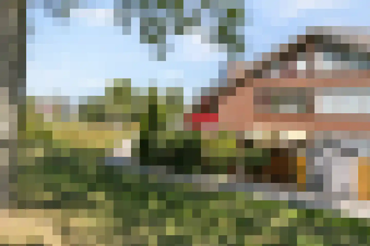 De Esdoorn 33 Rhoon thumbnail 16