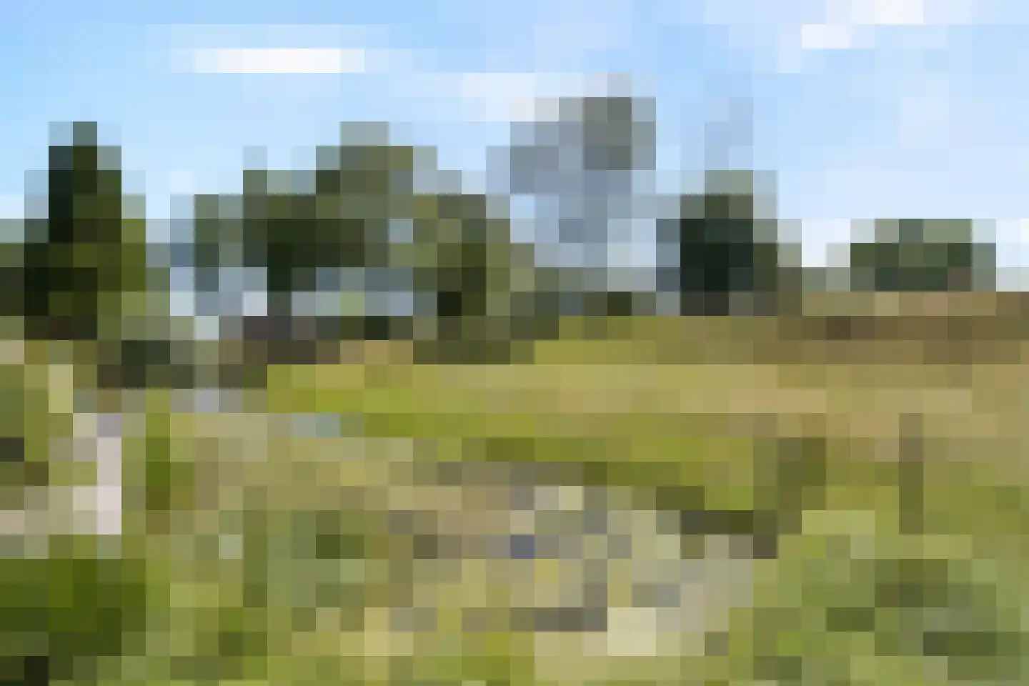 De Esdoorn 33 Rhoon thumbnail 17
