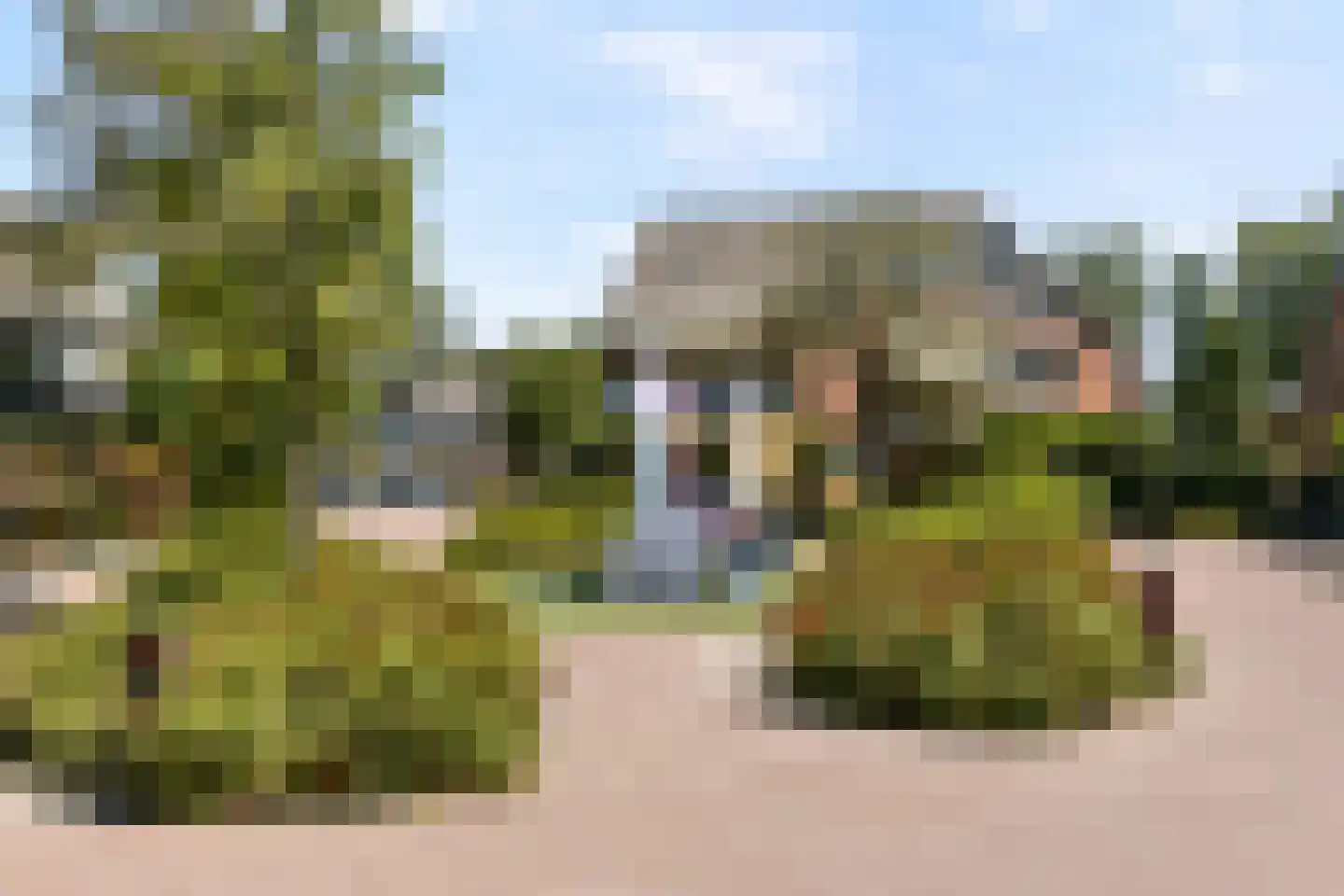 De Esdoorn 33 Rhoon thumbnail 18