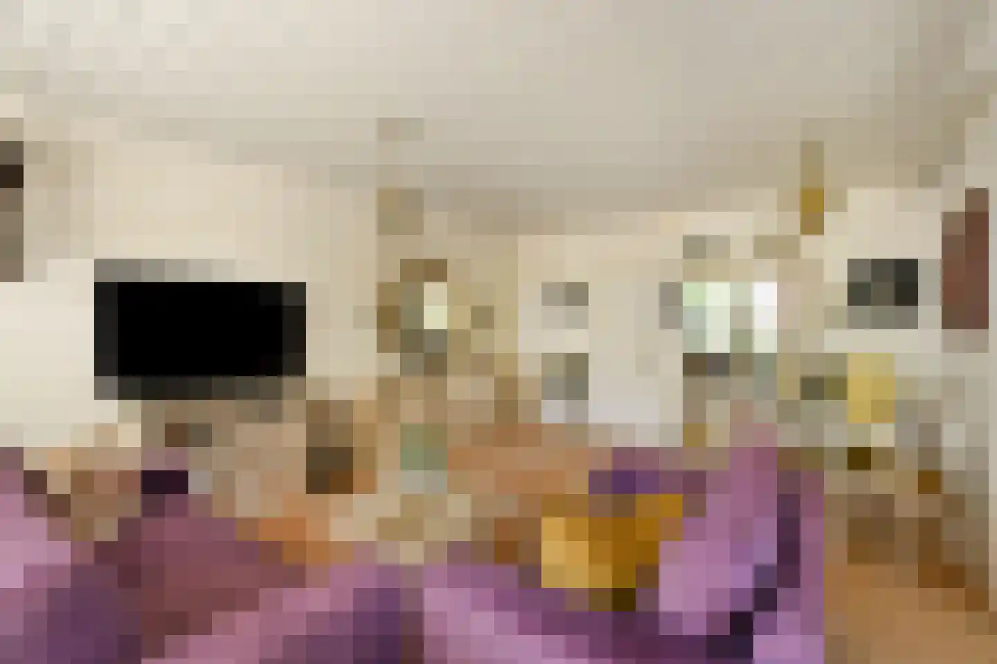 De Esdoorn 33 Rhoon thumbnail 7