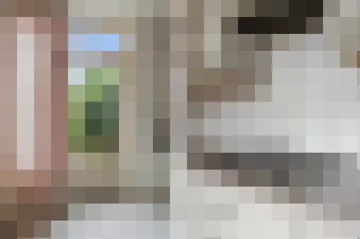 de Esdoorn 34 Boxmeer thumbnail 10