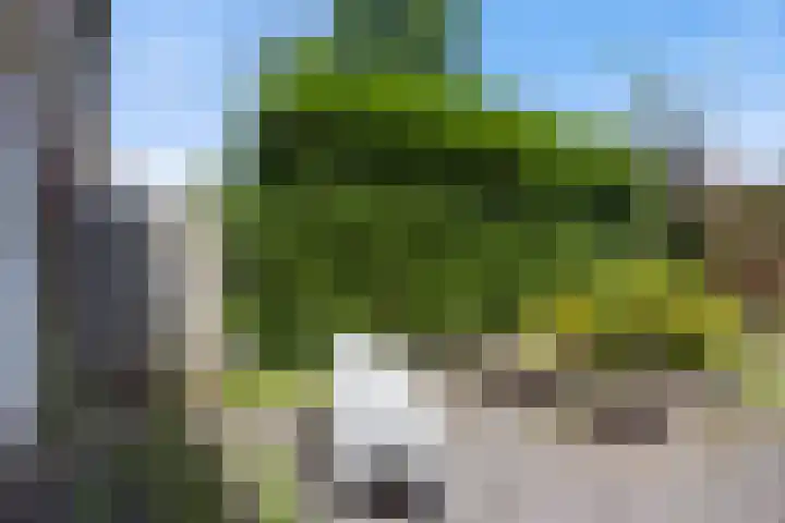 de Esdoorn 34 Boxmeer thumbnail 23