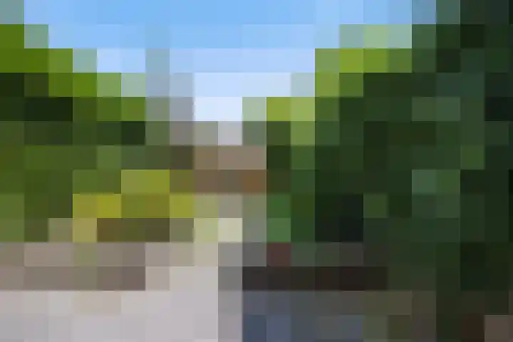 de Esdoorn 34 Boxmeer thumbnail 24