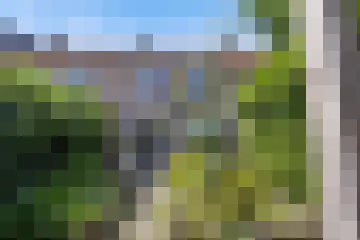 de Esdoorn 34 Boxmeer thumbnail 25