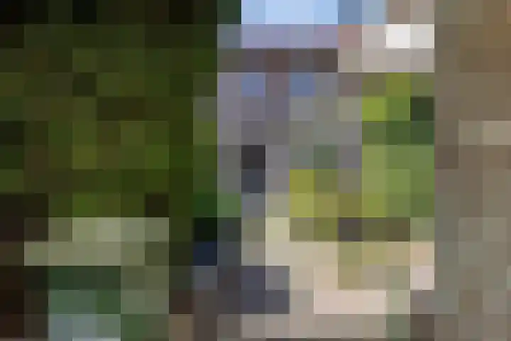 de Esdoorn 34 Boxmeer thumbnail 29