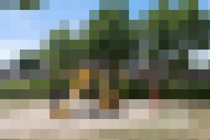 de Esdoorn 34 Boxmeer thumbnail 33