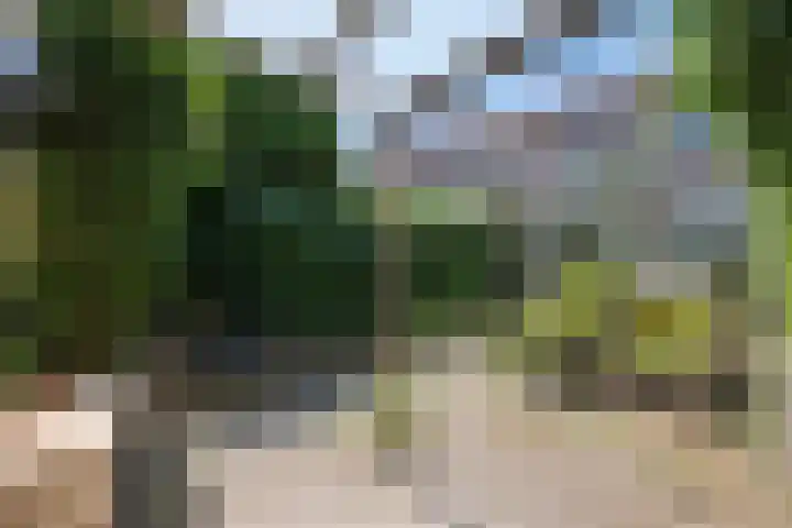 de Esdoorn 34 Boxmeer thumbnail 4