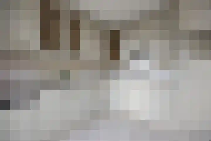 de Esdoorn 34 Boxmeer thumbnail 9