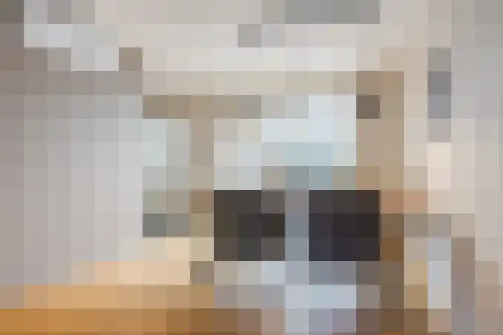 De Esdoorn 4 Koekange thumbnail 10